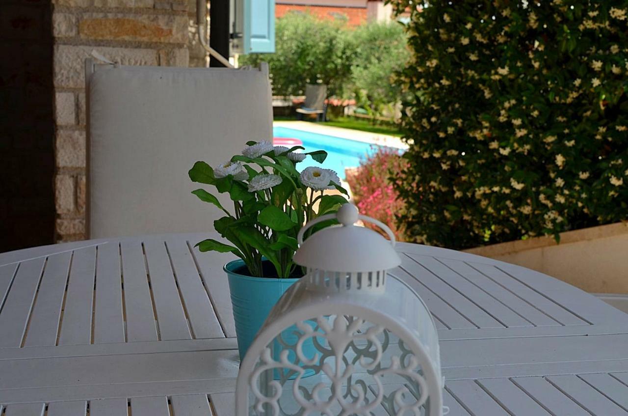 Holiday Home Sverko Novigrad Istria Εξωτερικό φωτογραφία