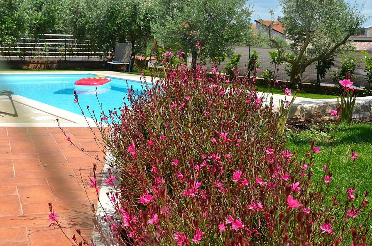 Holiday Home Sverko Novigrad Istria Εξωτερικό φωτογραφία